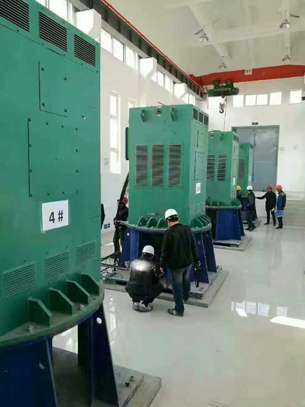 昌洒镇某污水处理厂使用我厂的立式高压电机安装现场